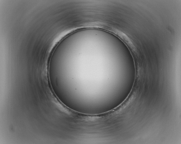 X0000115761184200911131149