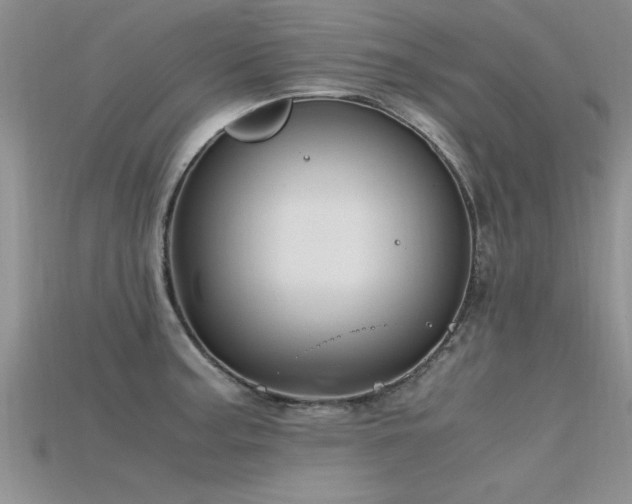 X0000115761187200911131149