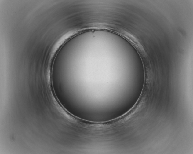 X0000115761188200911131149