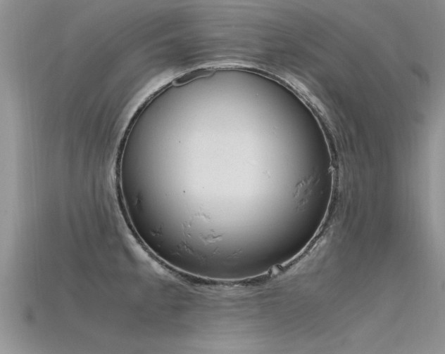 X0000115761189200911131149