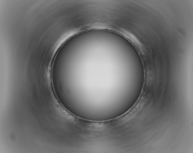 X0000115761190200911131149