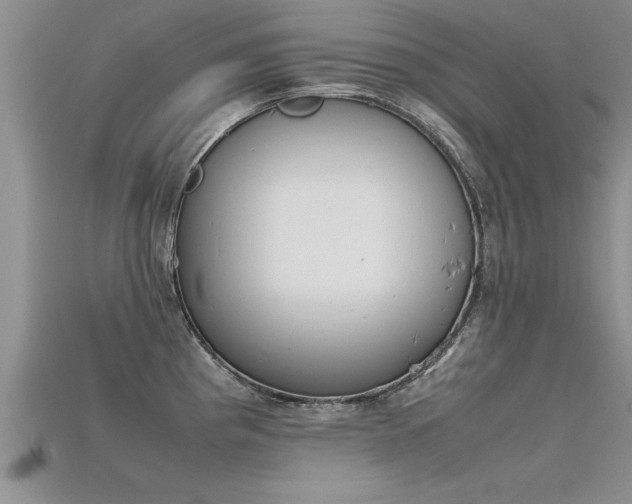 X0000115761193200911131149