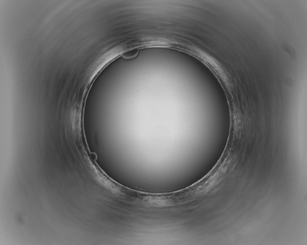 X0000115761194200911131149