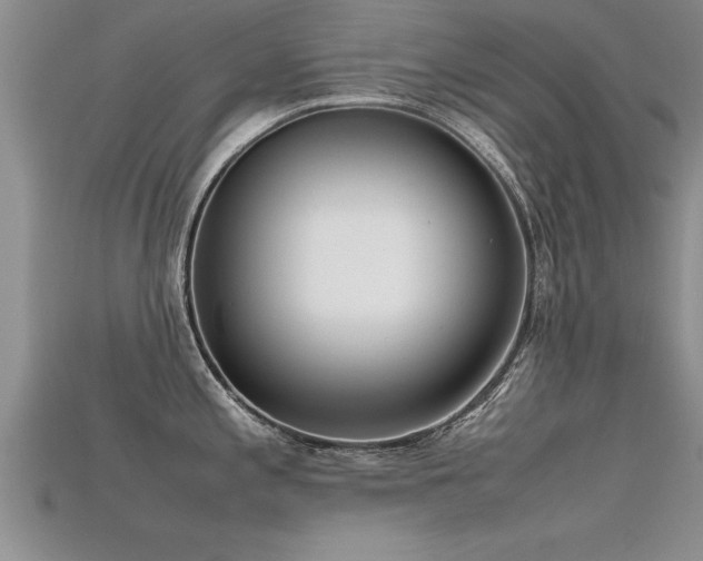 X0000115761197200911131149