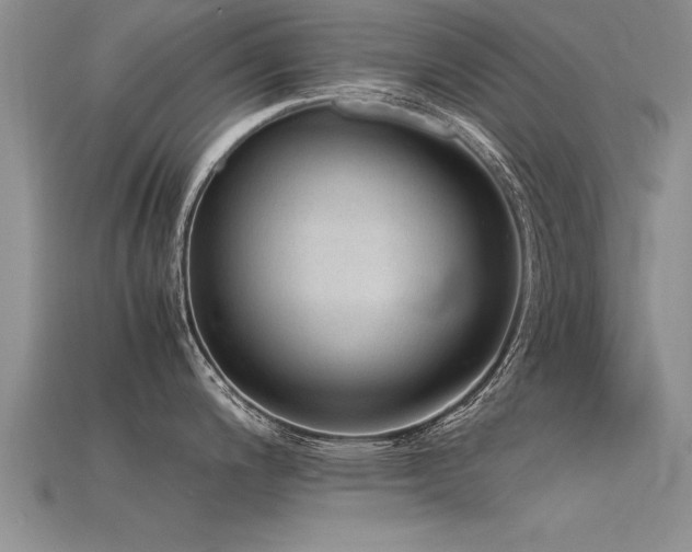 X0000115761200200911131149