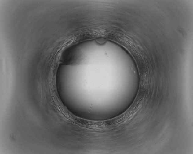 X0000115761201200911131148