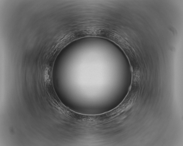 X0000115761202200911131149