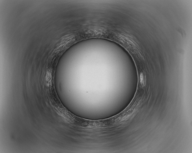 X0000115761203200911131149