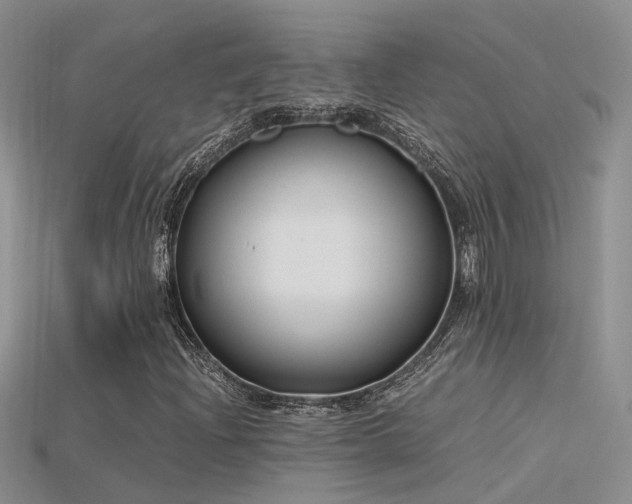 X0000115761204200911131149