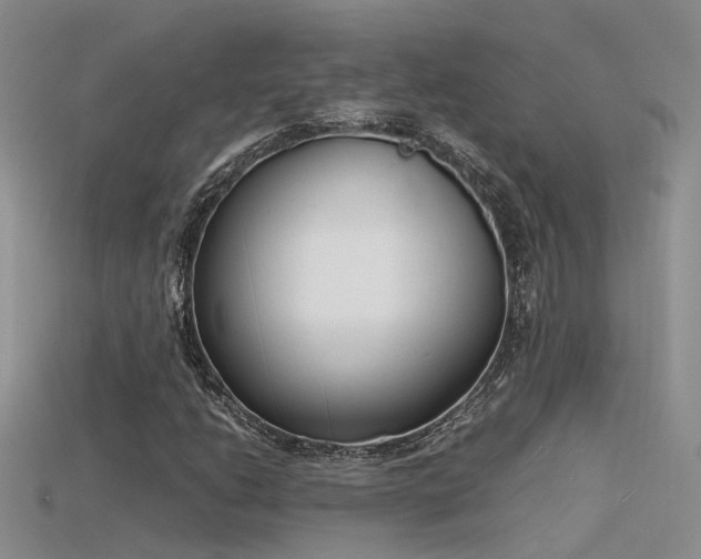 X0000115761206200911131149