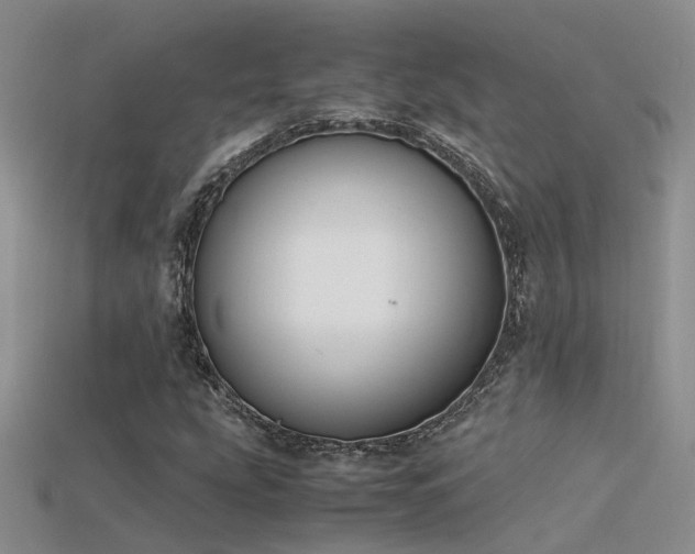 X0000115761207200911131149