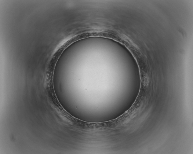 X0000115761208200911131149