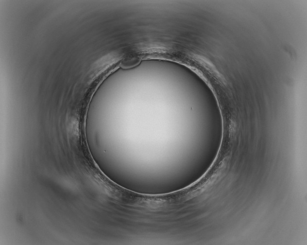 X0000115761209200911131149