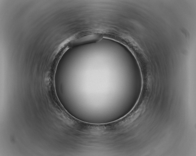 X0000115761210200911131149