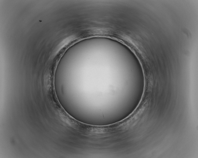 X0000115761211200911131149