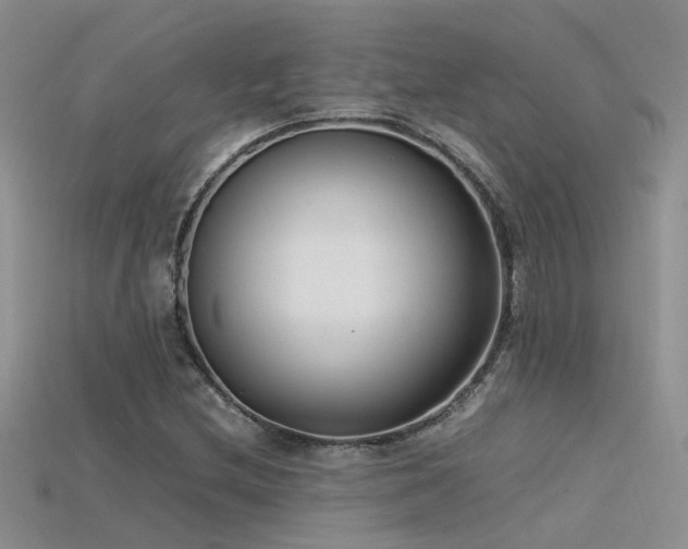 X0000115761212200911131149