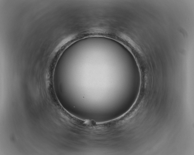 X0000115761213200911131149