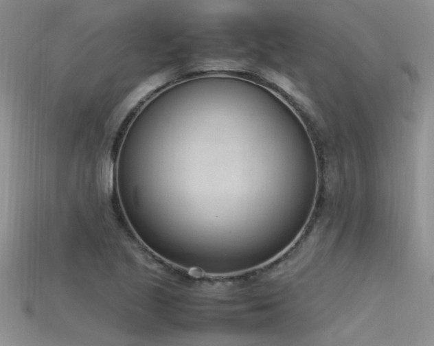 X0000115761221200911131149