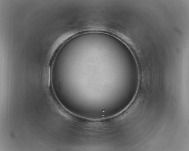 X0000115761223200911131149