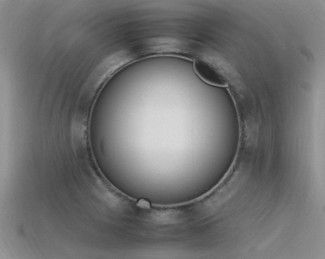 X0000115761225200911131149