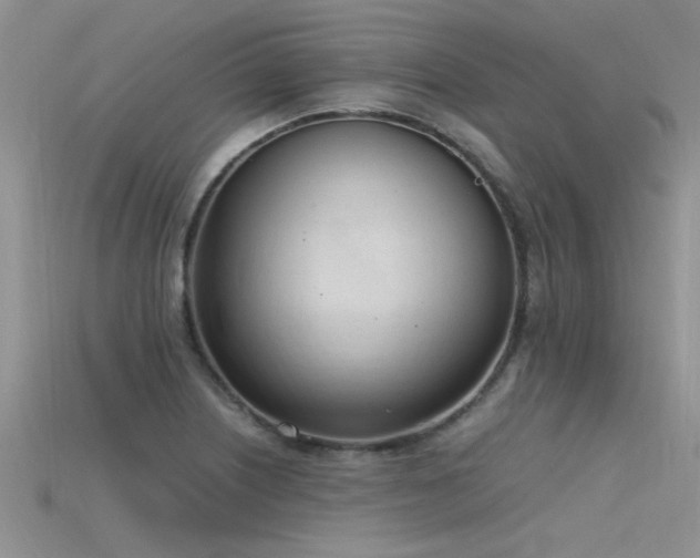X0000115761226200911131149