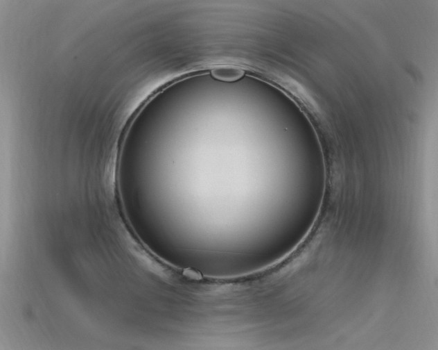 X0000115761228200911131149