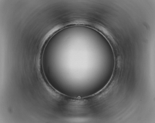 X0000115761229200911131149