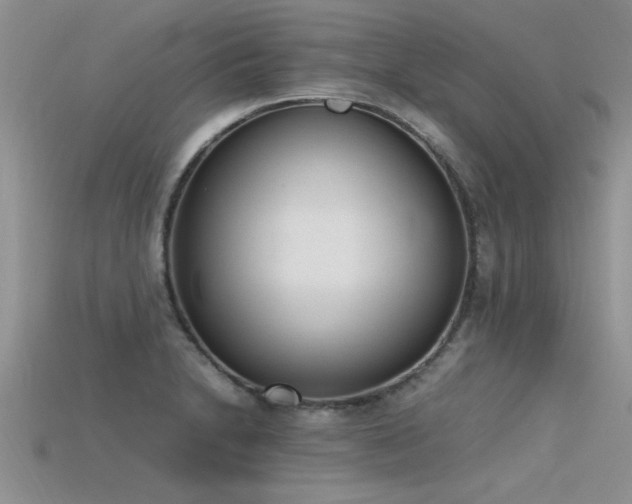 X0000115761230200911131149