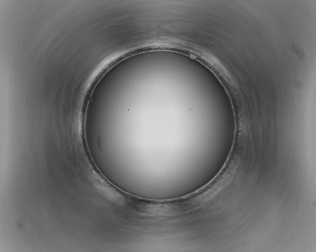 X0000115761232200911131149
