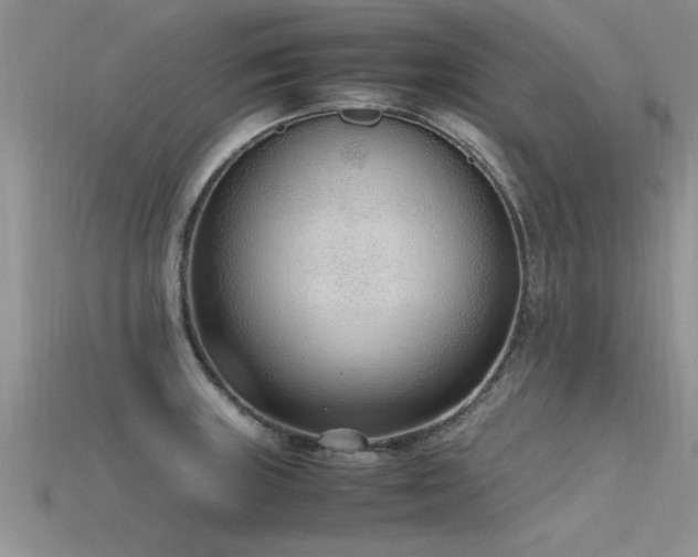 X0000115761235200911131149
