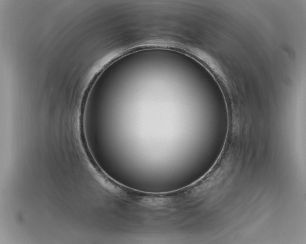 X0000115761237200911131149