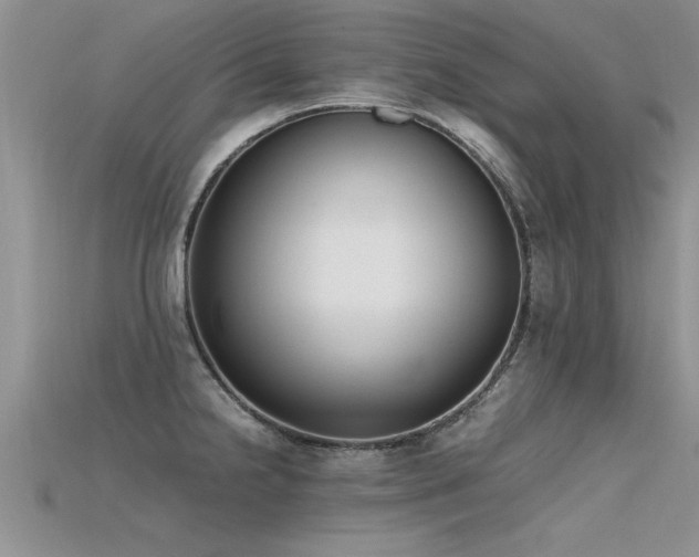 X0000115761238200911131149