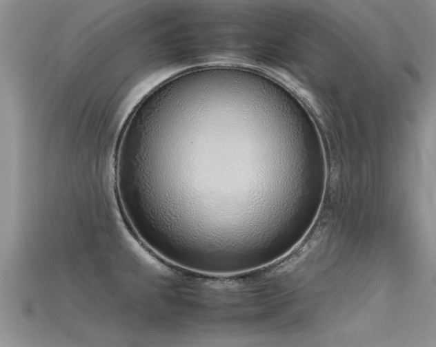X0000115761239200911131149
