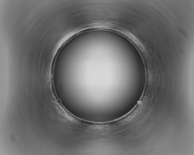 X0000115761240200911131149