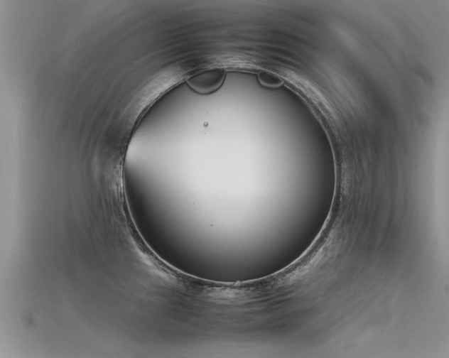 X0000115761241200911131149
