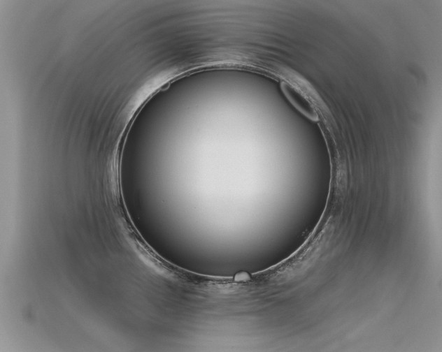 X0000115761242200911131149