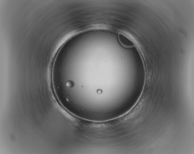 X0000115761243200911131149