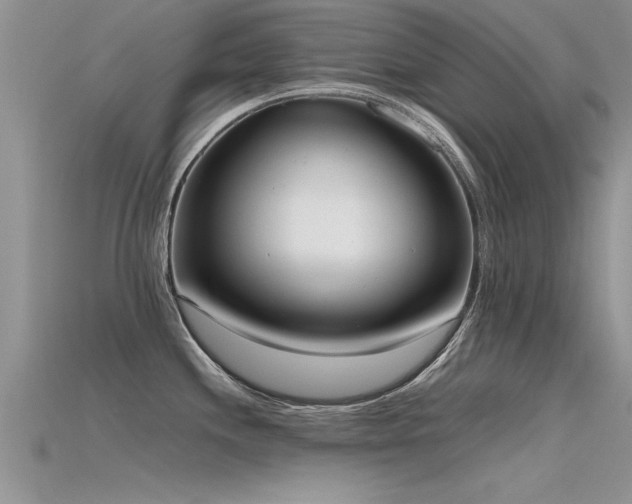 X0000115761244200911131149