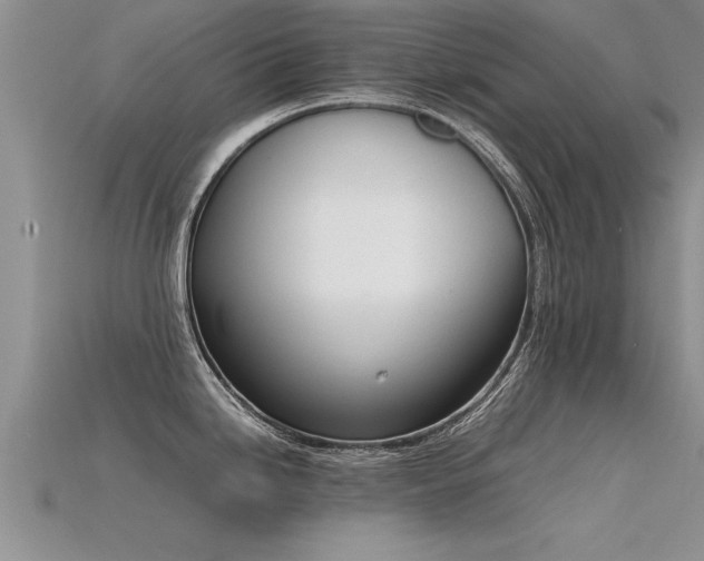 X0000115761246200911131149