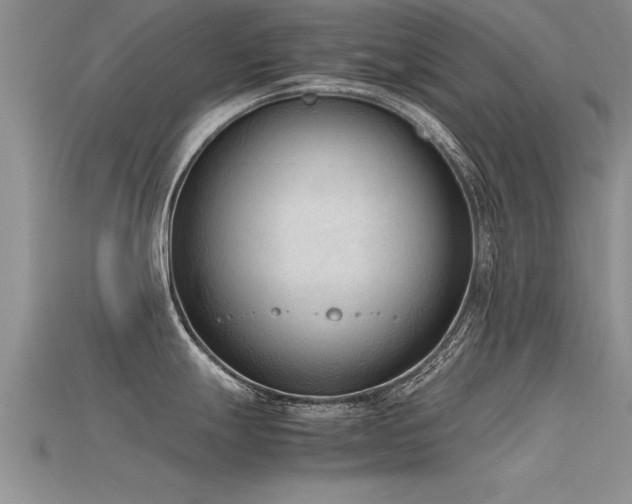X0000115761247200911131149