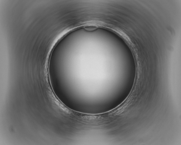 X0000115761248200911131149