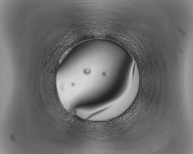 X0000115761249200911131148