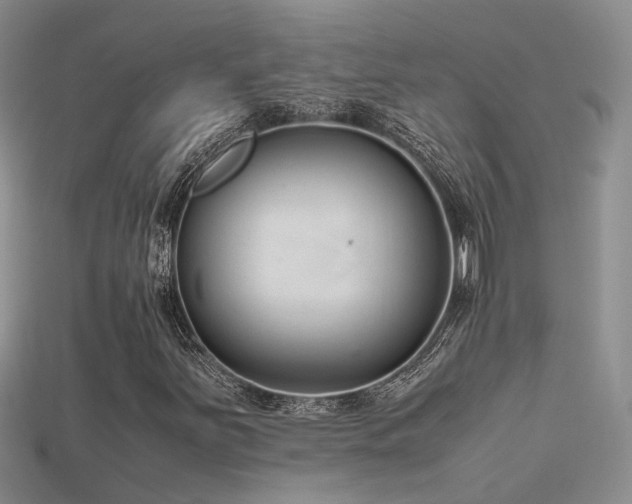 X0000115761251200911131148