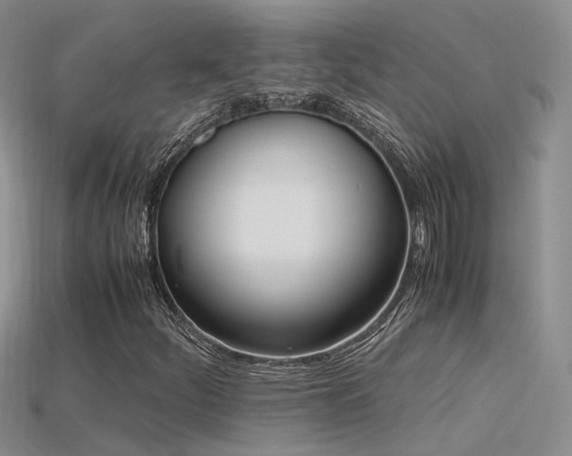 X0000115761252200911131148