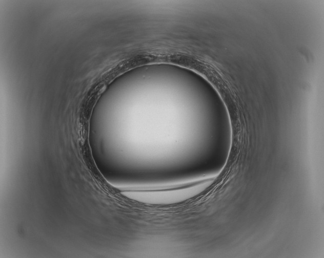 X0000115761253200911131148