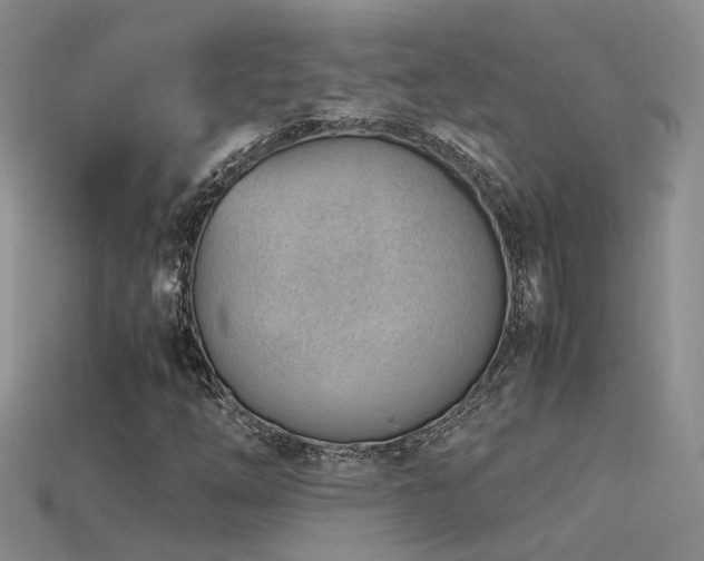 X0000115761254200911131148