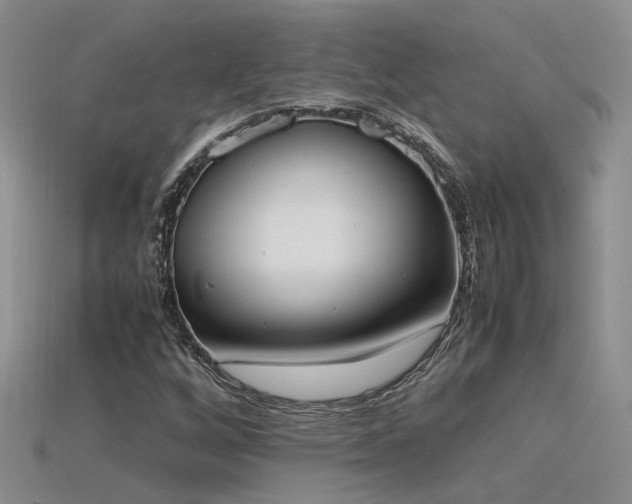 X0000115761256200911131148