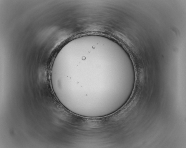 X0000115761258200911131148