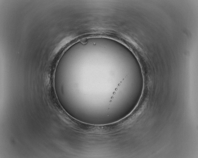 X0000115761259200911131148