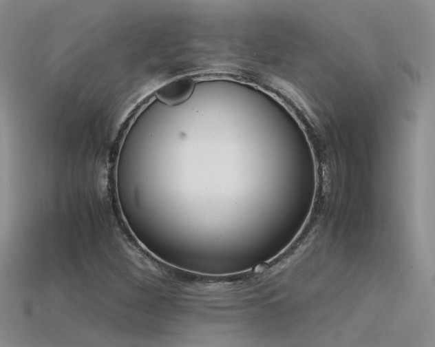 X0000115761260200911131148